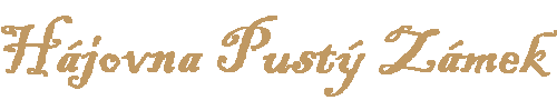 Primary Raster logo